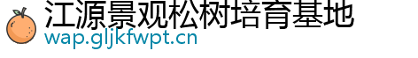 江源景观松树培育基地